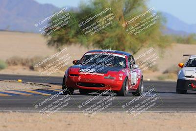 media/Oct-15-2023-Lucky Dog Racing Chuckwalla (Sun) [[f659570f60]]/4th Stint Turn 4 Tree of Life/